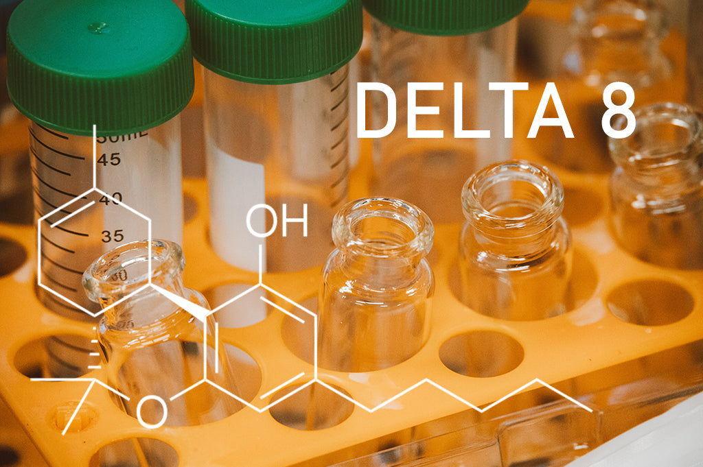 The Medcan Deep Dive: Understanding Delta-8 THC