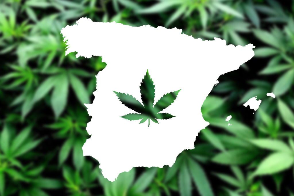 Cannabis legality in Spain