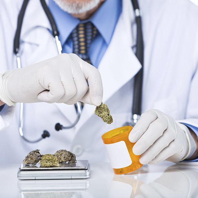 Programa de ciencia del cannabis: profesionales sanitarios 